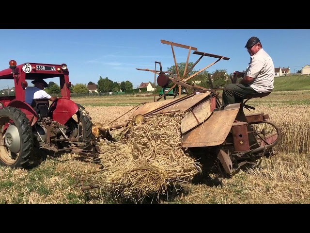 Moisson à l'ancienne